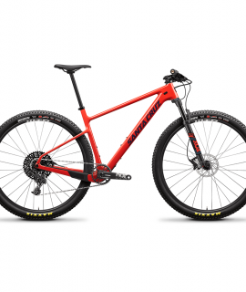 Santa Cruz High Ball